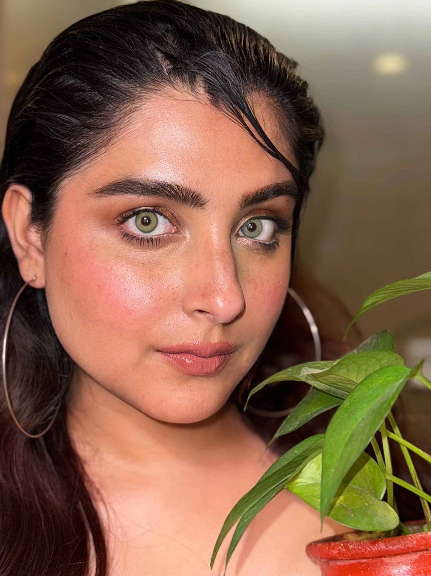 peridot green yearly lenses
