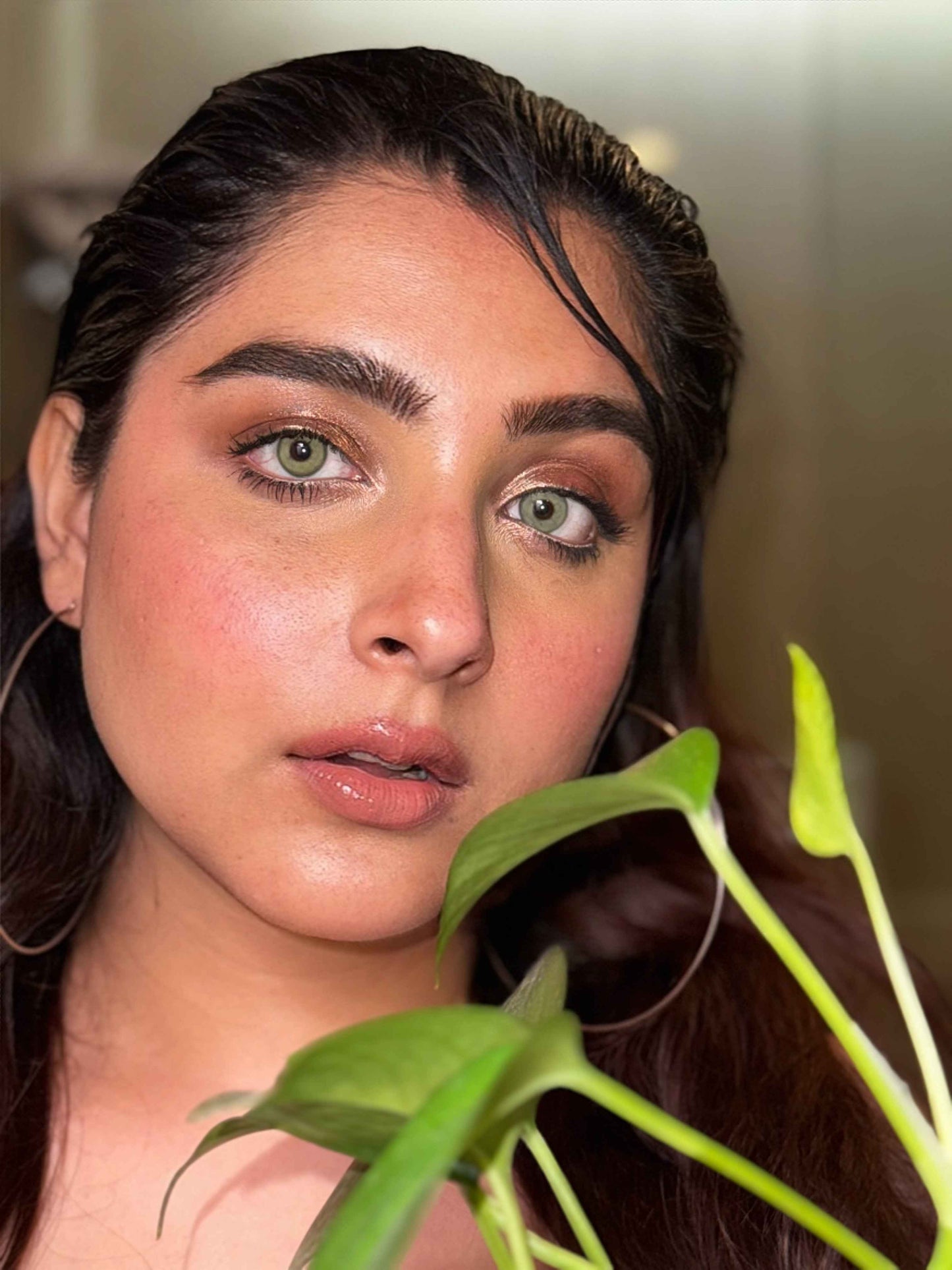 peridot green yearly lenses