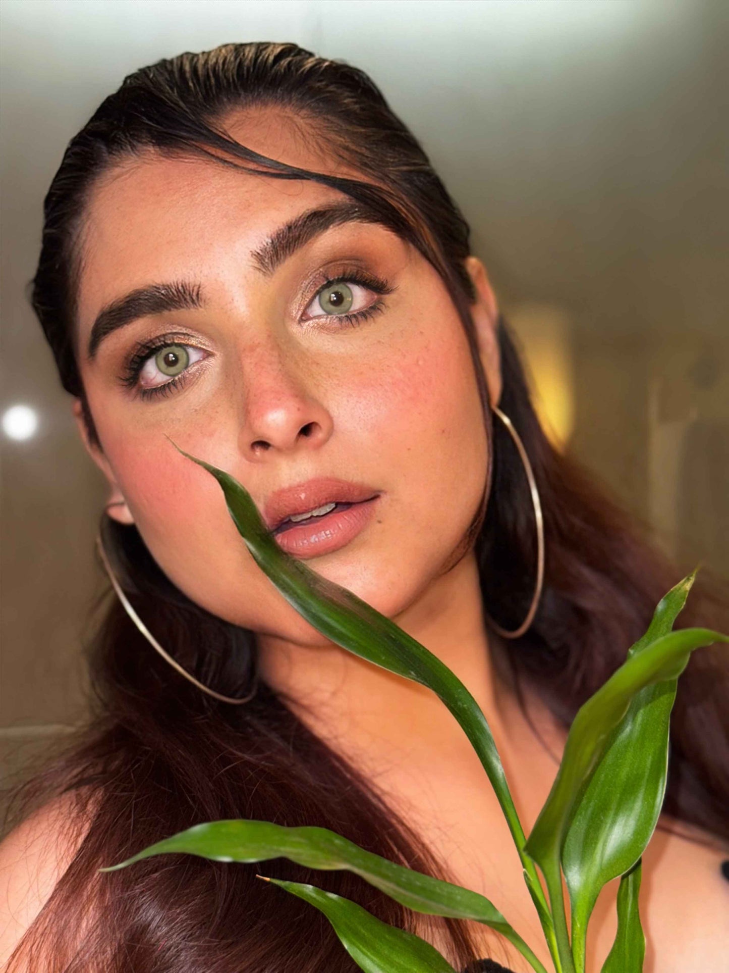 peridot green yearly lenses