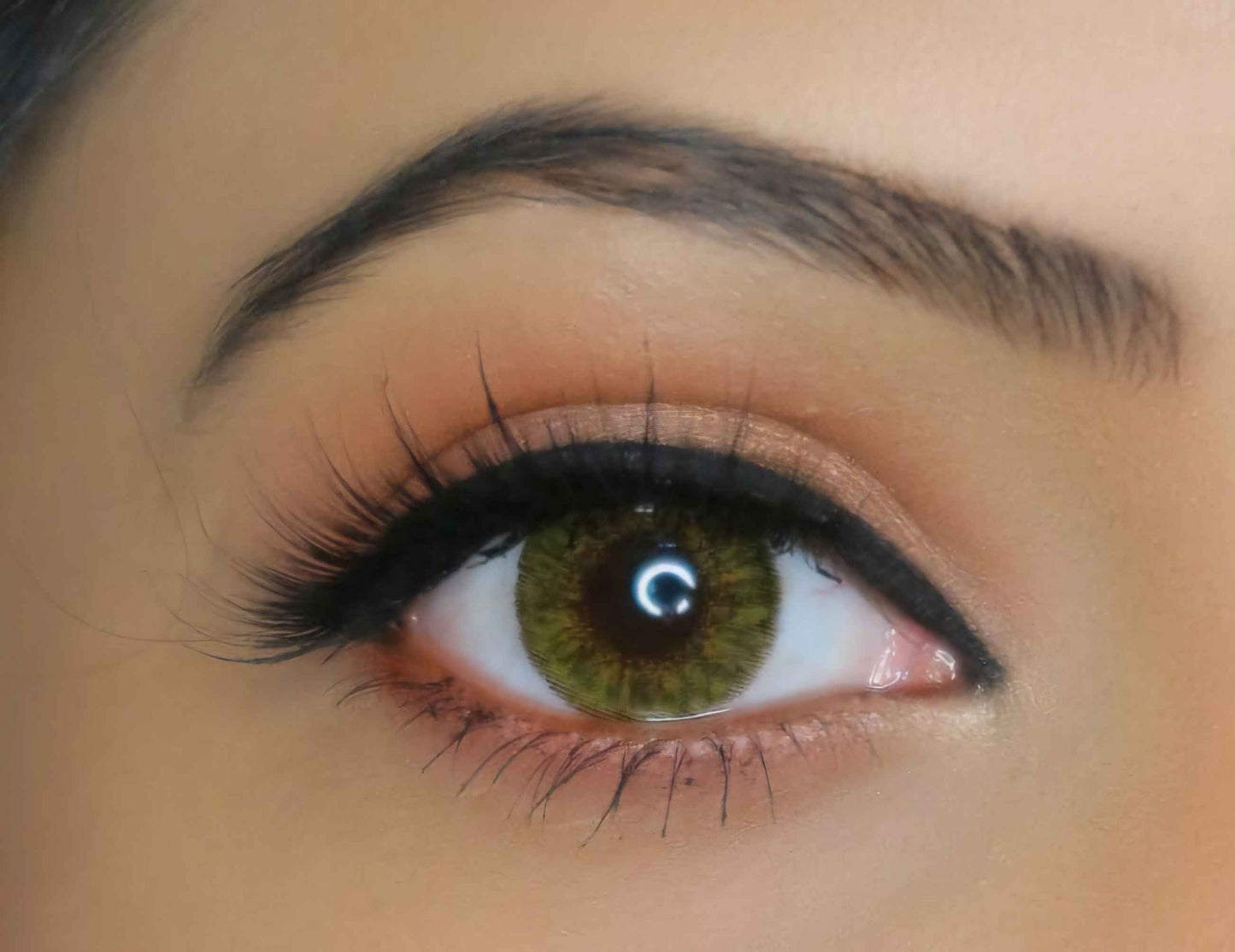 Natural Hazel Yearly Color Toric