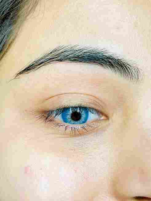 Sea Blue Non Power Yearly