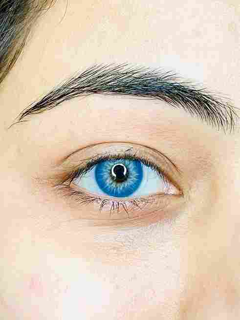 Sea Blue Non Power Yearly