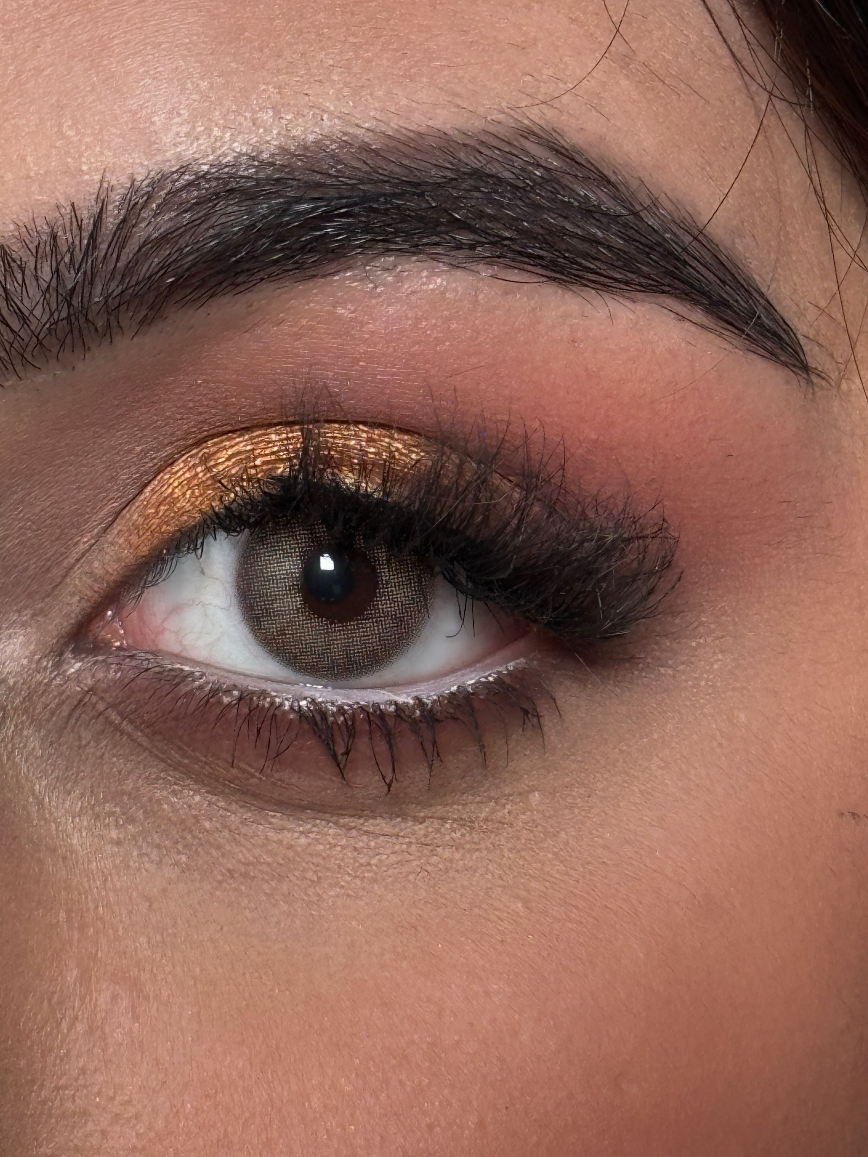 Honey Brown Yearly