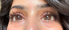 Bruno brown yearly lenses