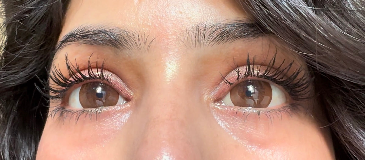 Bruno brown yearly lenses