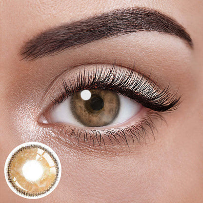 Truffle Brown Yearly