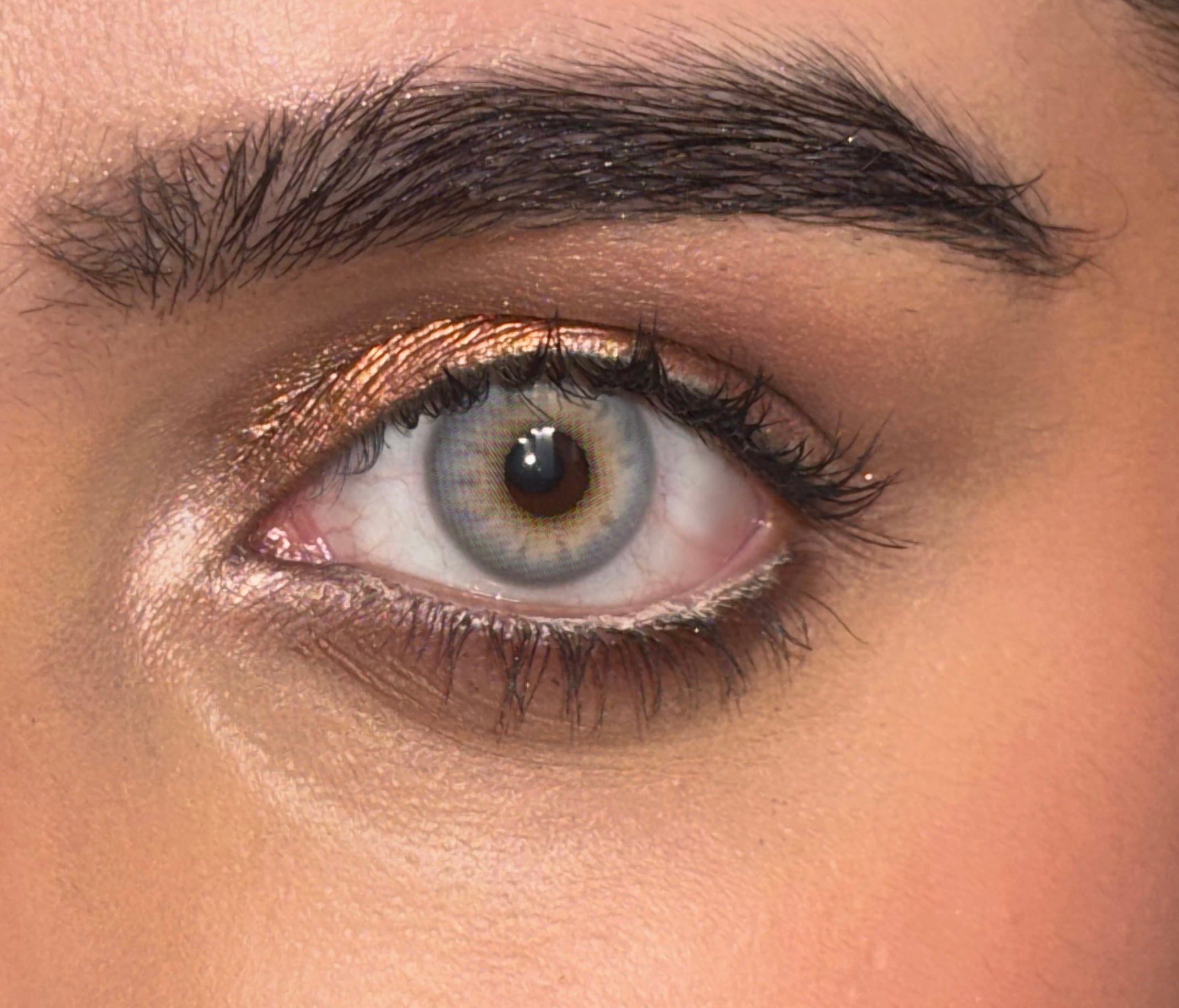 kanti gray yearly lenses