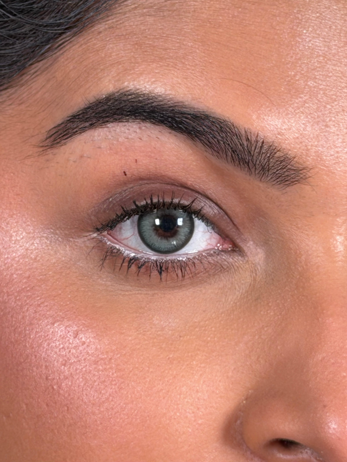 Ash gray yearly lenses