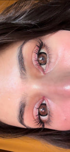 Choco brown yearly lenses