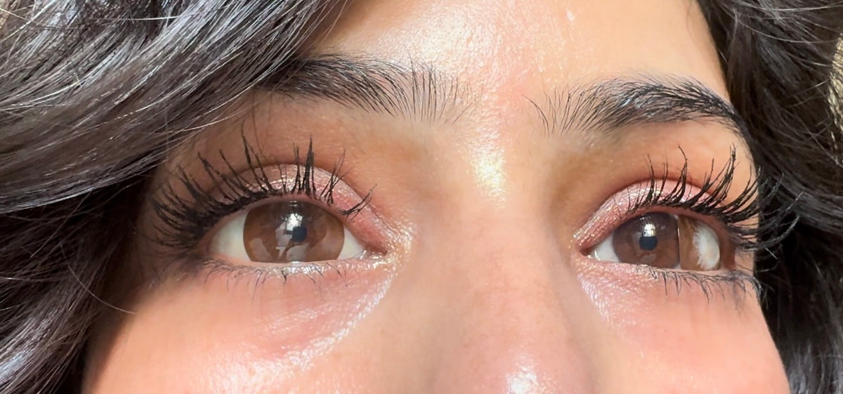 Bruno brown yearly lenses
