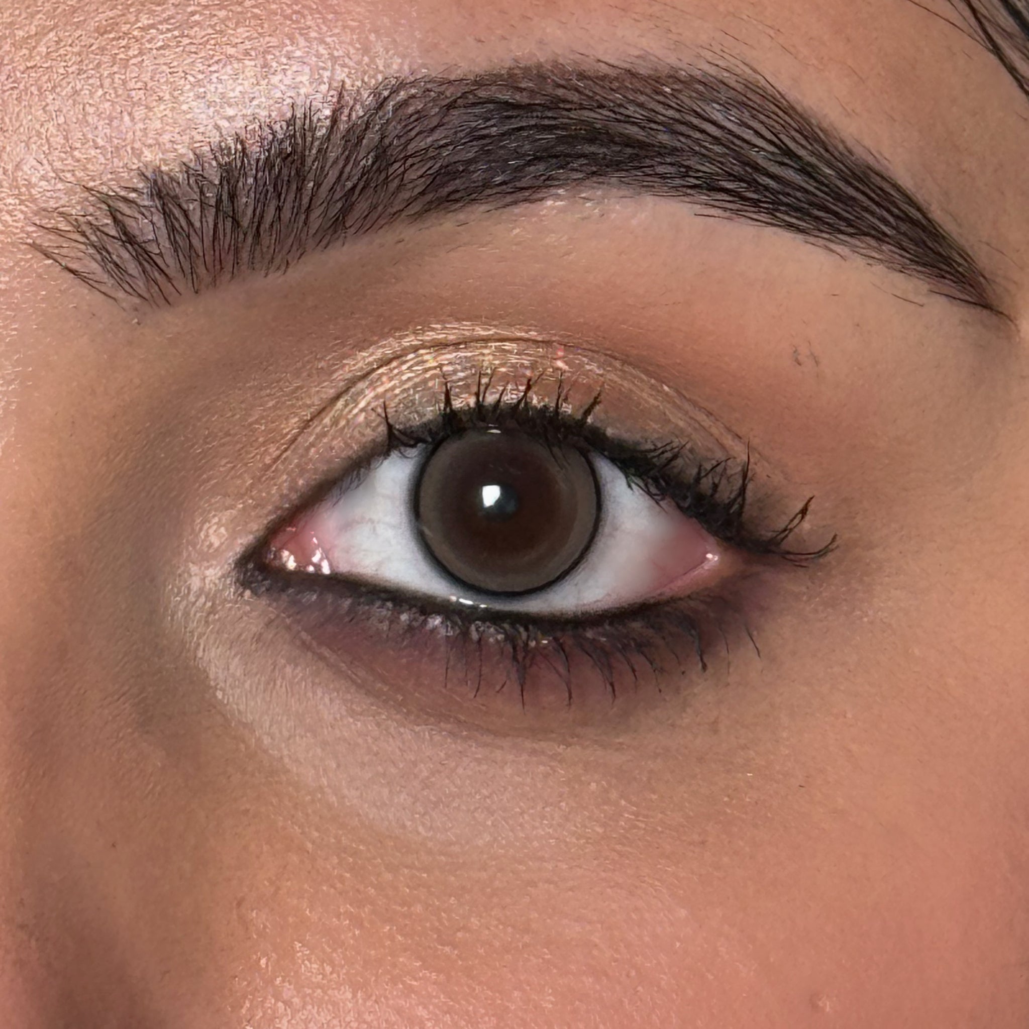 Exotic Hazel Monthly