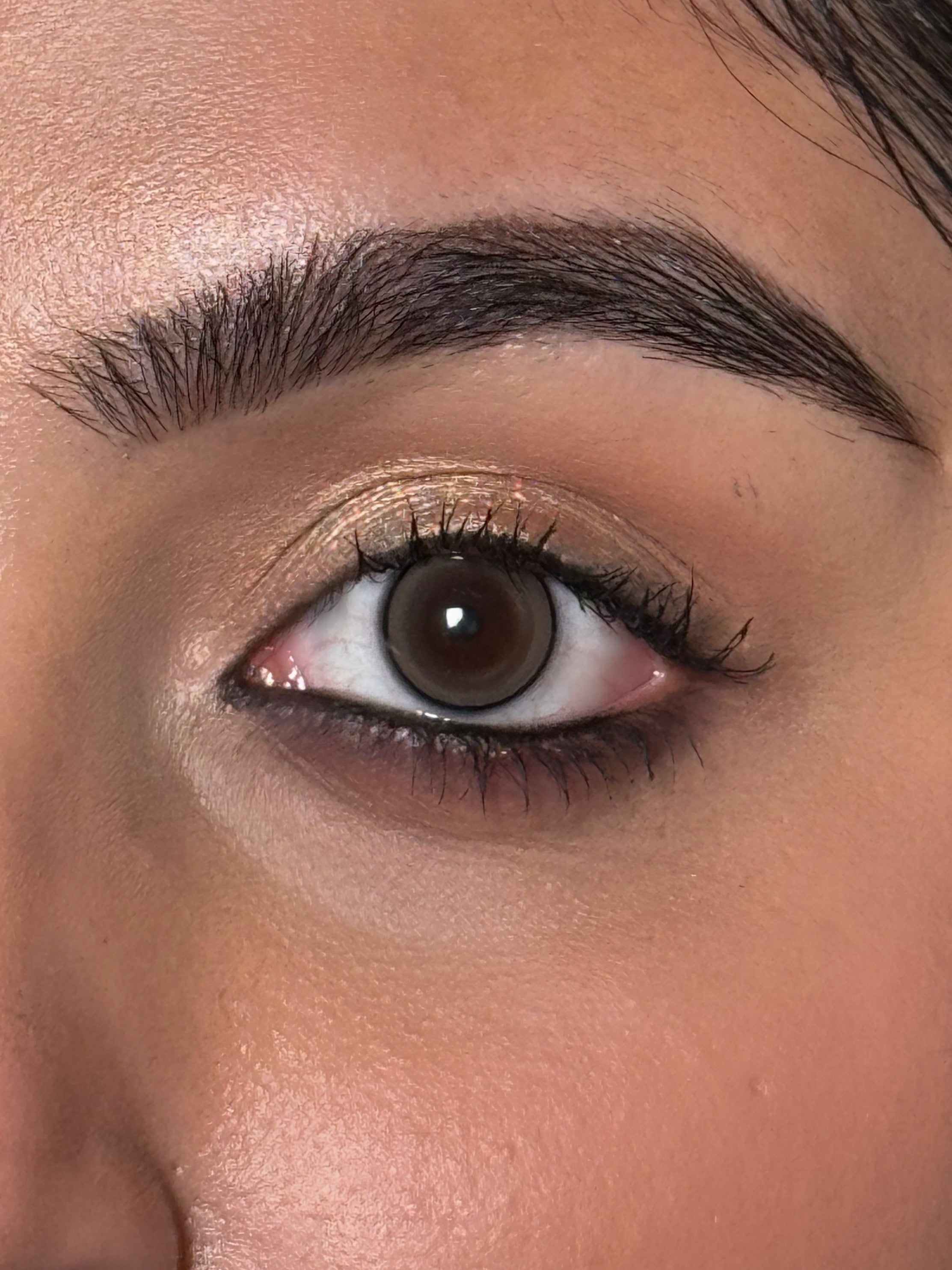 Exotic Hazel Monthly