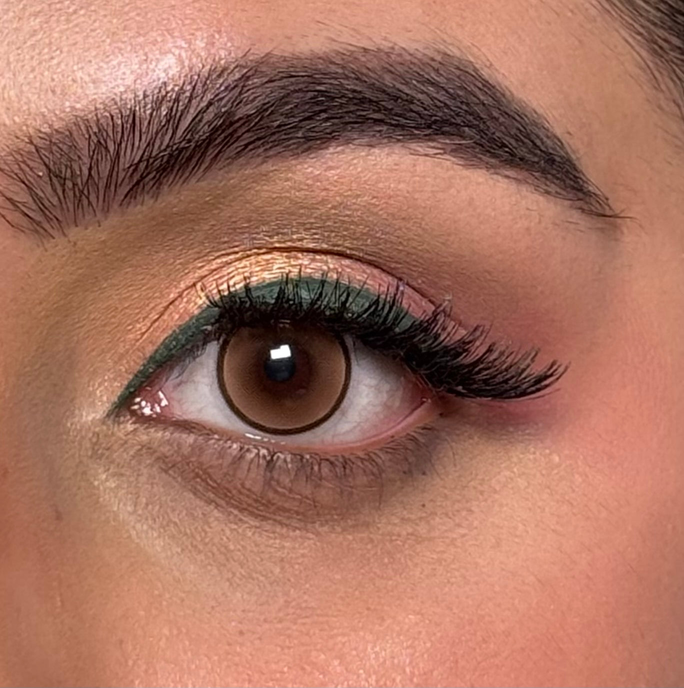 Hazel Brown Lens Yearly