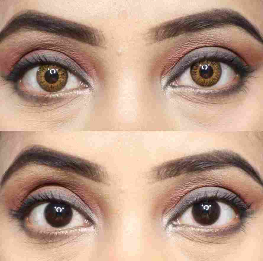 Brown Yearly
