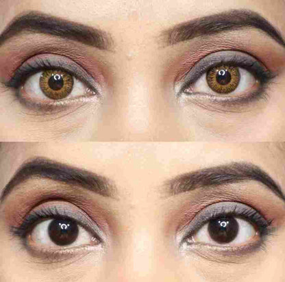 Brown Yearly