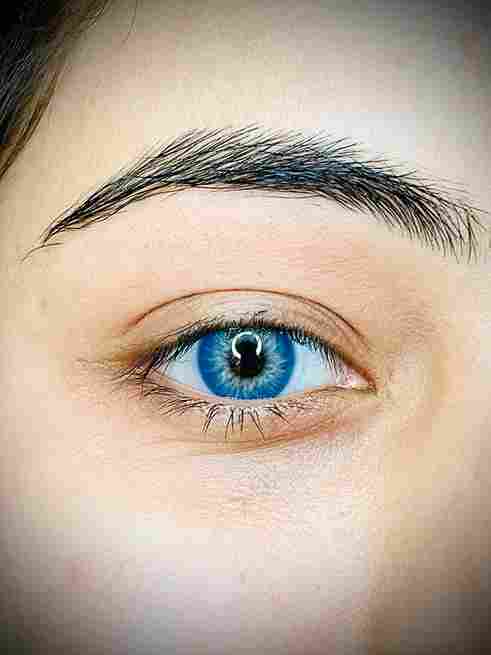 Sea Blue Non Power Yearly