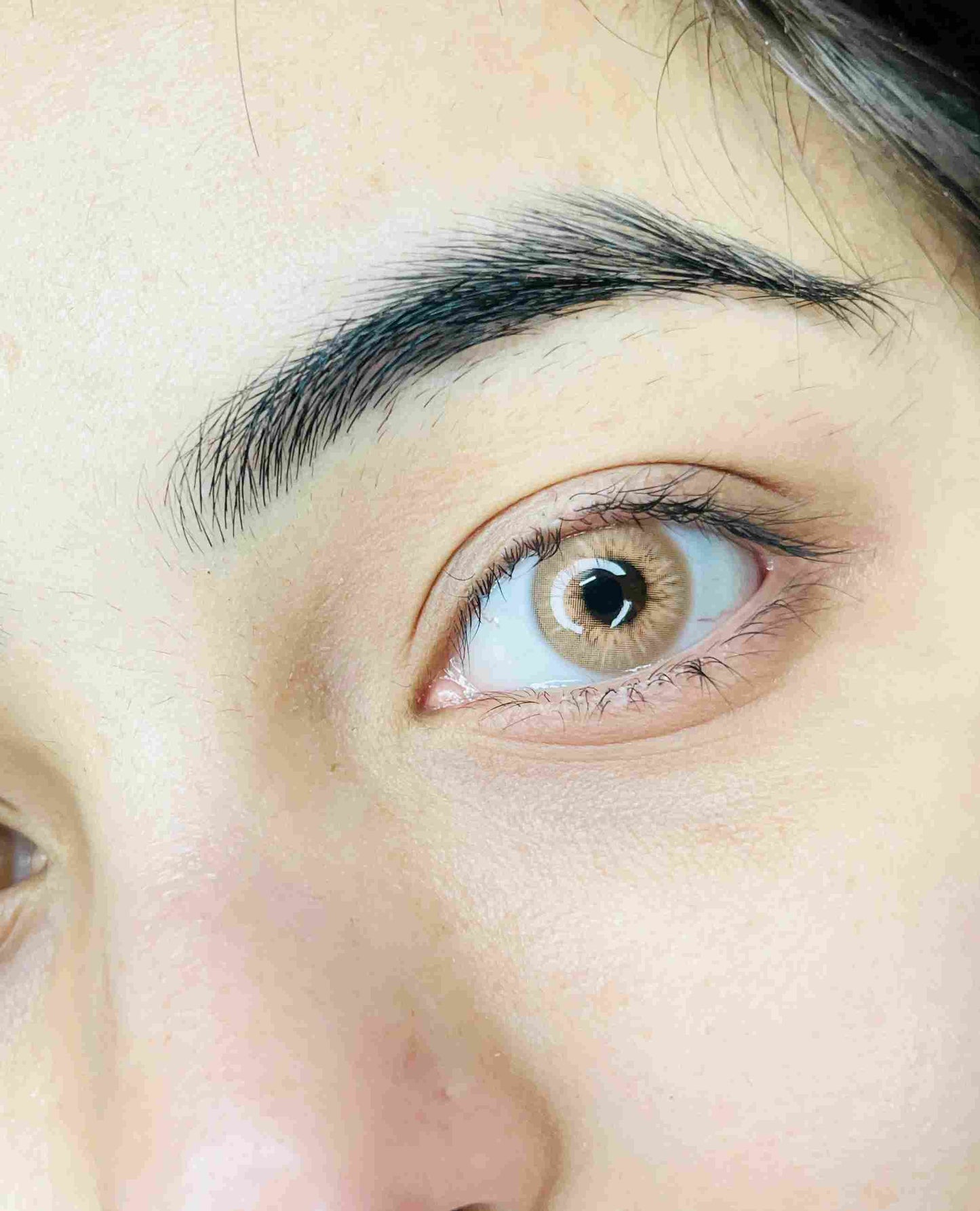 Rust Brown Yearly