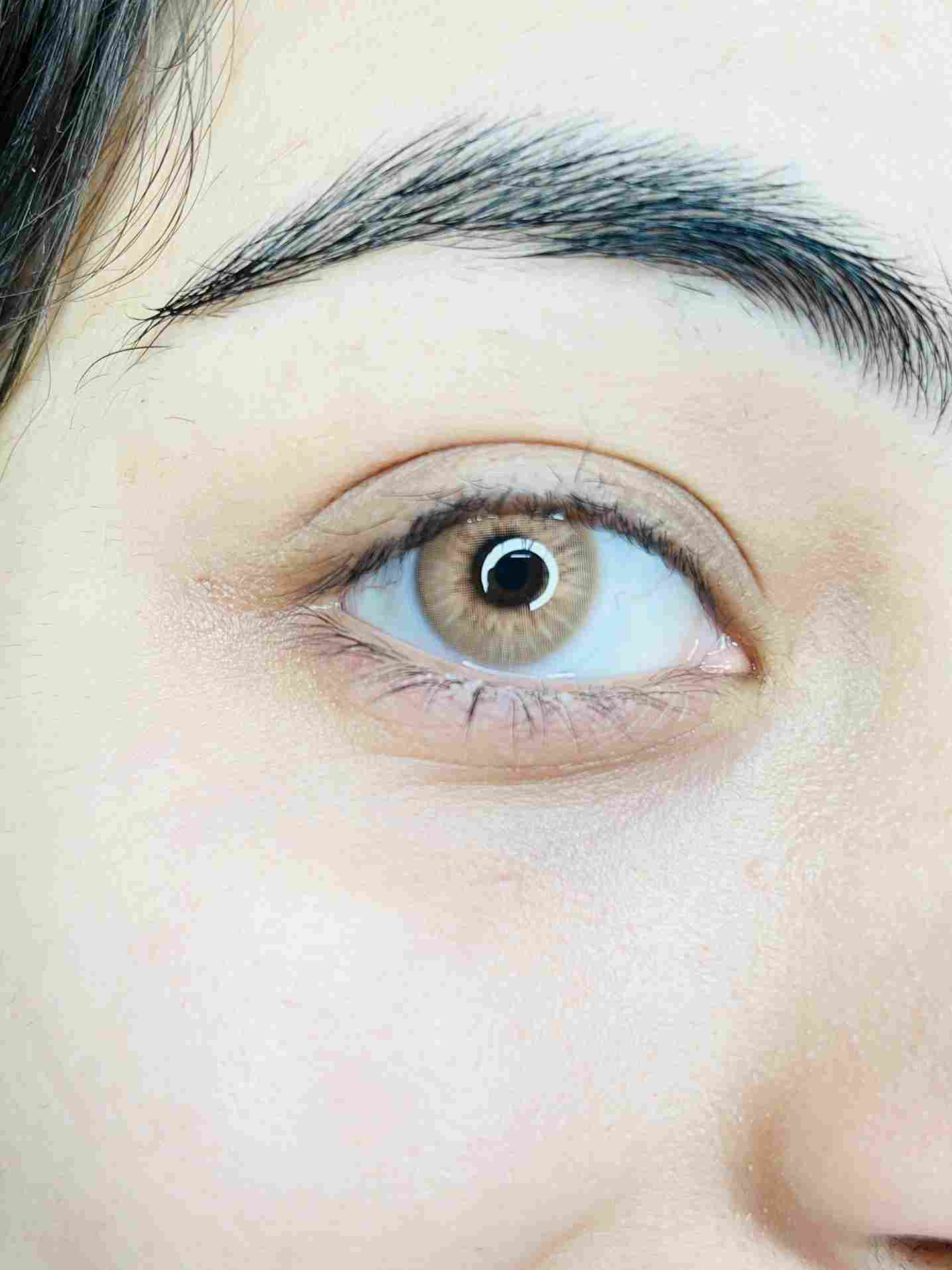 Rust Brown Yearly