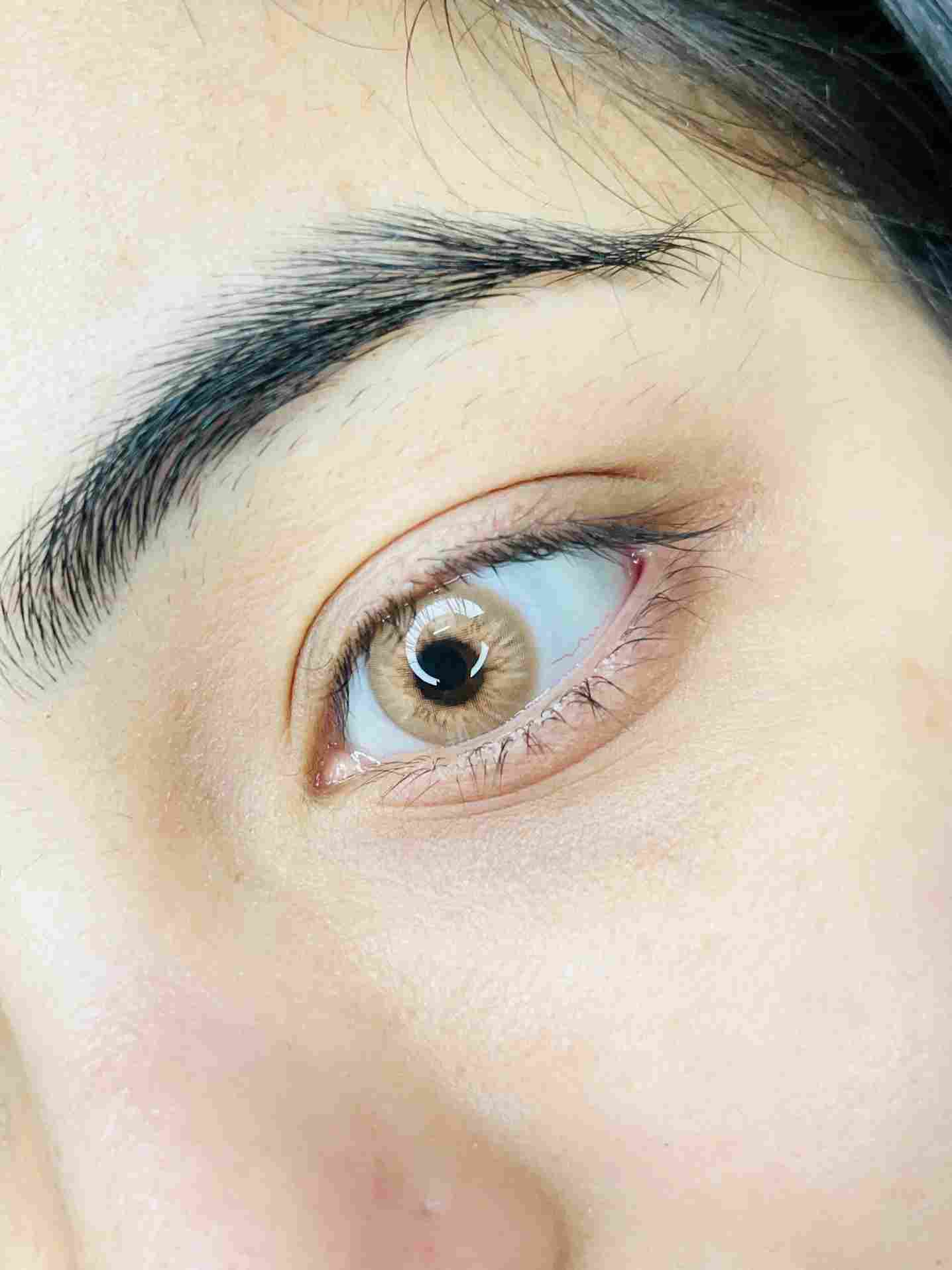 Rust Brown Yearly