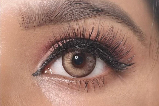 Mocha Brown Yearly