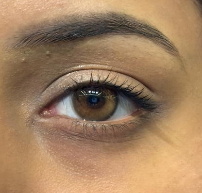 bronze brown yearly lenses