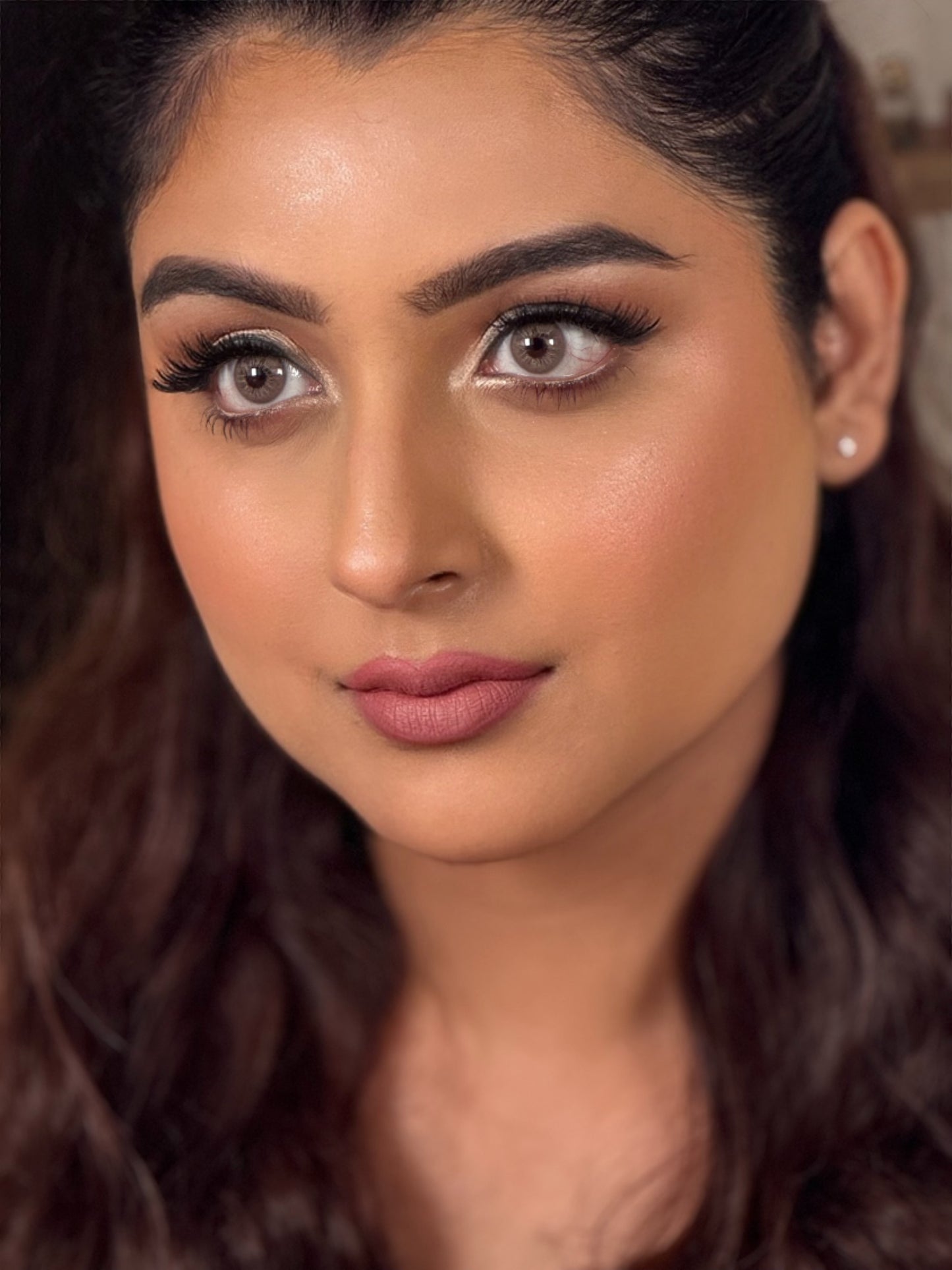 nutty brown yearly lenses