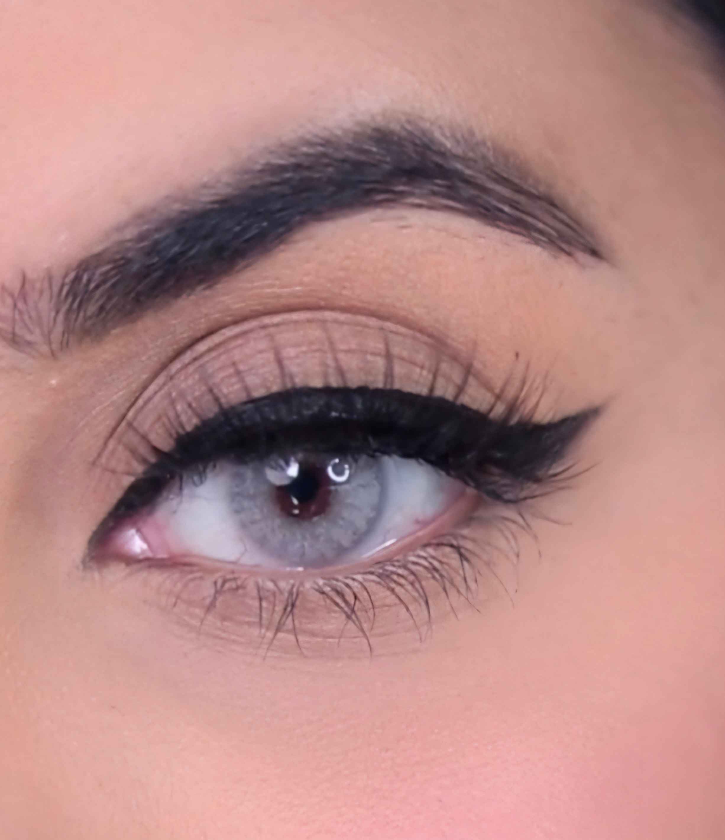 Starlight Gray  yearly