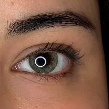 walnut hazel yearly lenses