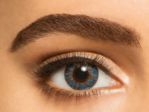 1 day disposable Pack of 6 pairs