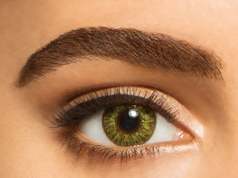 1 day disposable Pack of 6 pairs