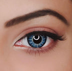 1 day disposable Pack of 6 pairs