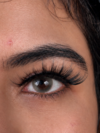 VYNKL Lashes- Mumbai