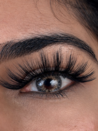 VYNKL Lashes - Delhi