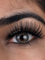VYNKL LASHES - Abu Dhabi