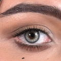 Snowy gray 3 month lenses